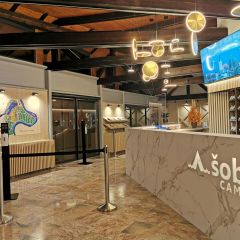 NEW Reception