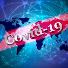 Special year - Covid-19