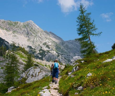 hiking.jpg