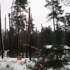 A larger investment into infrastructure after natural disaster