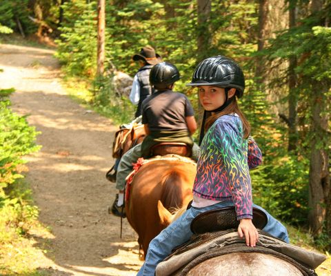 Horseback riding